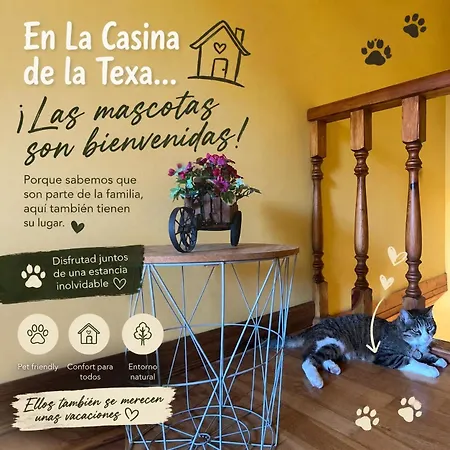Holiday home La Casina De La Texa *